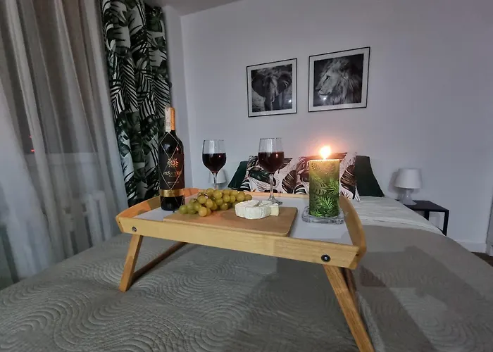 Kawalerka Na Rakowie Obok Estakady