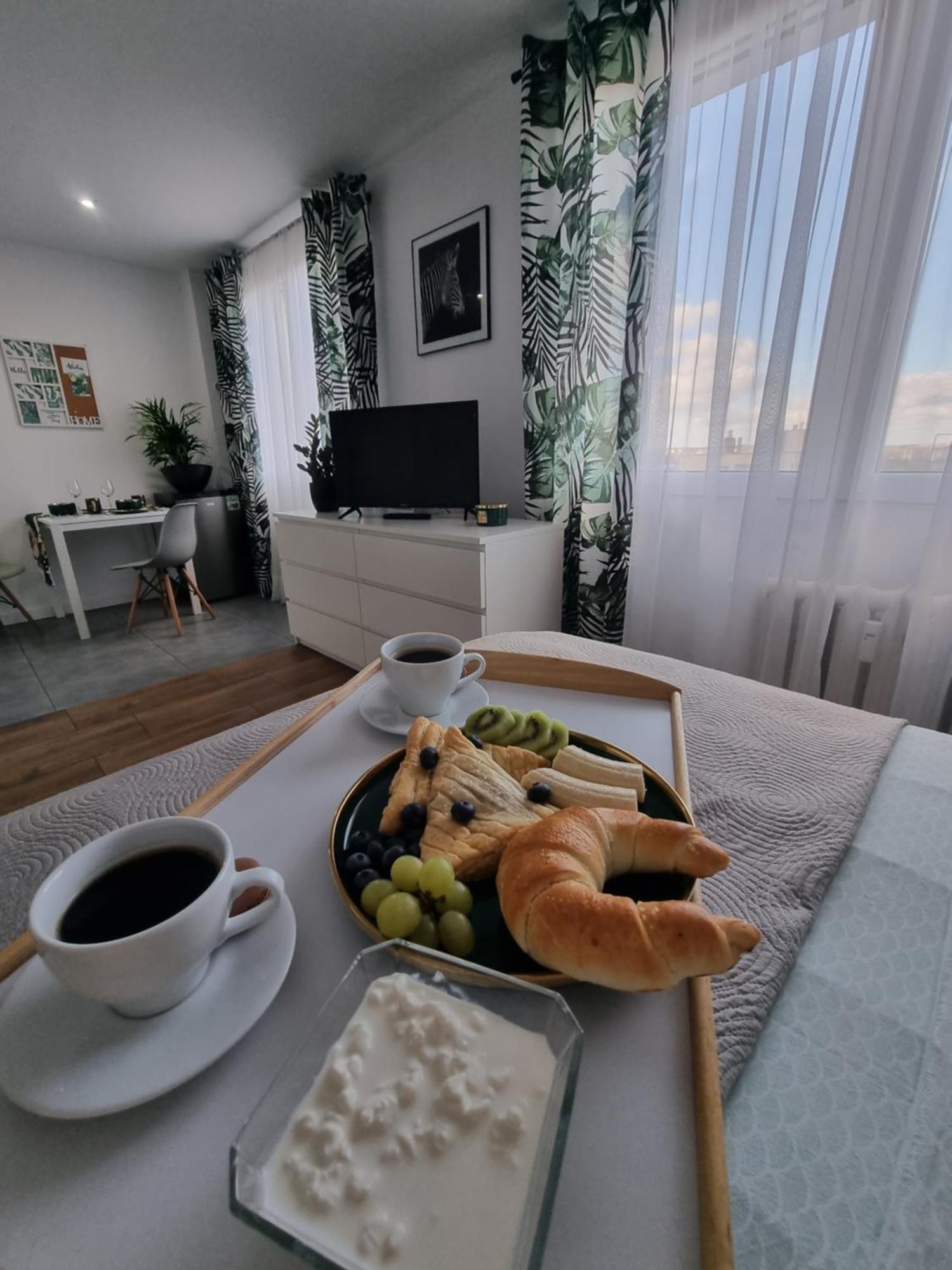 Apartment Kawalerka Na Rakowie Obok Estakady Czestochowa